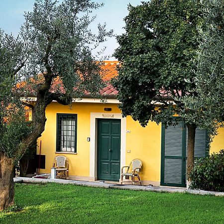 La Vista Agriturismo Boutique Ariccia Zewnętrze zdjęcie