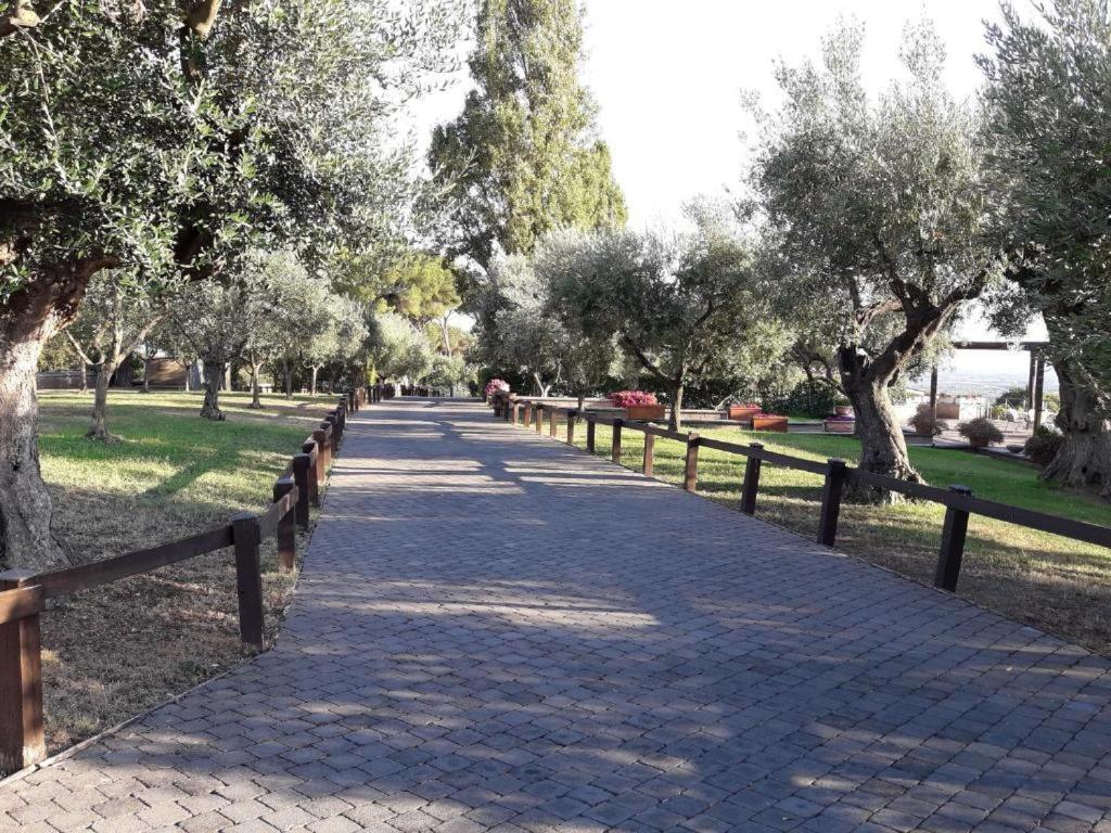 La Vista Agriturismo Boutique Ariccia Zewnętrze zdjęcie